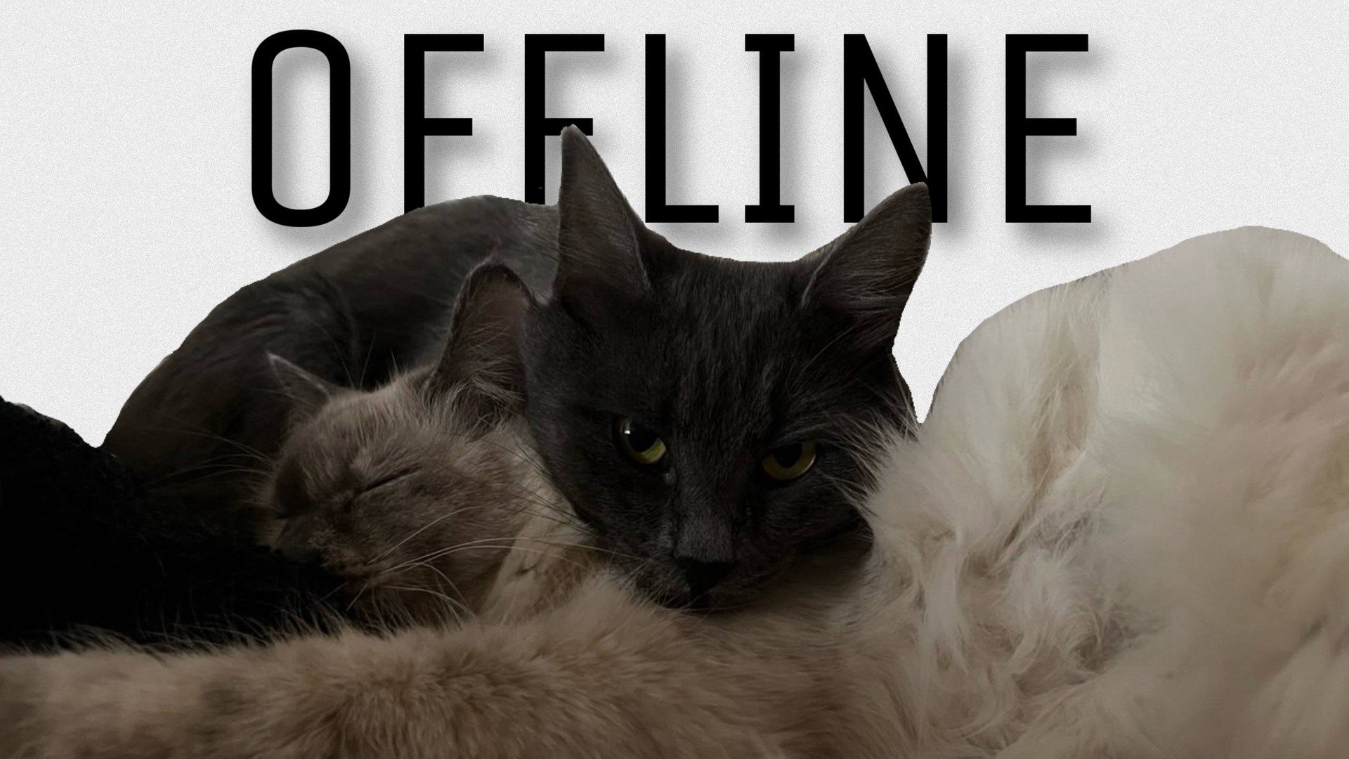 hornyblin Offline Background