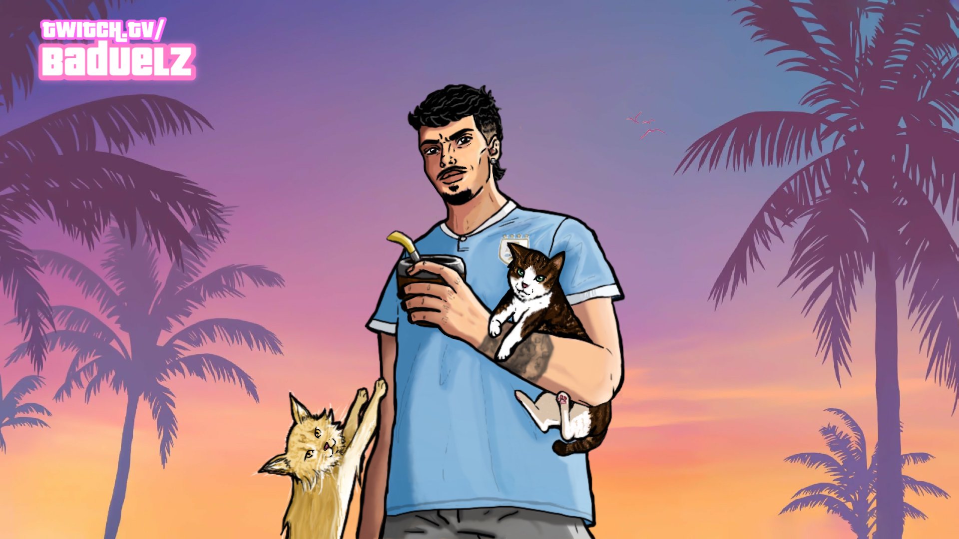 Baduelz Offline Background