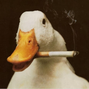 candycornduck