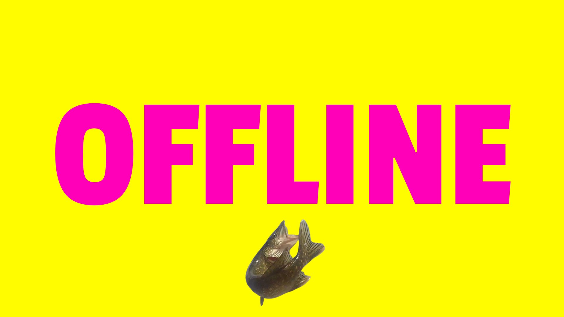 HaukiTerppa Offline Background