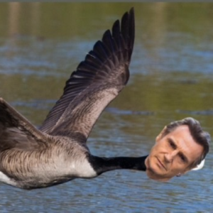 liamgeeson