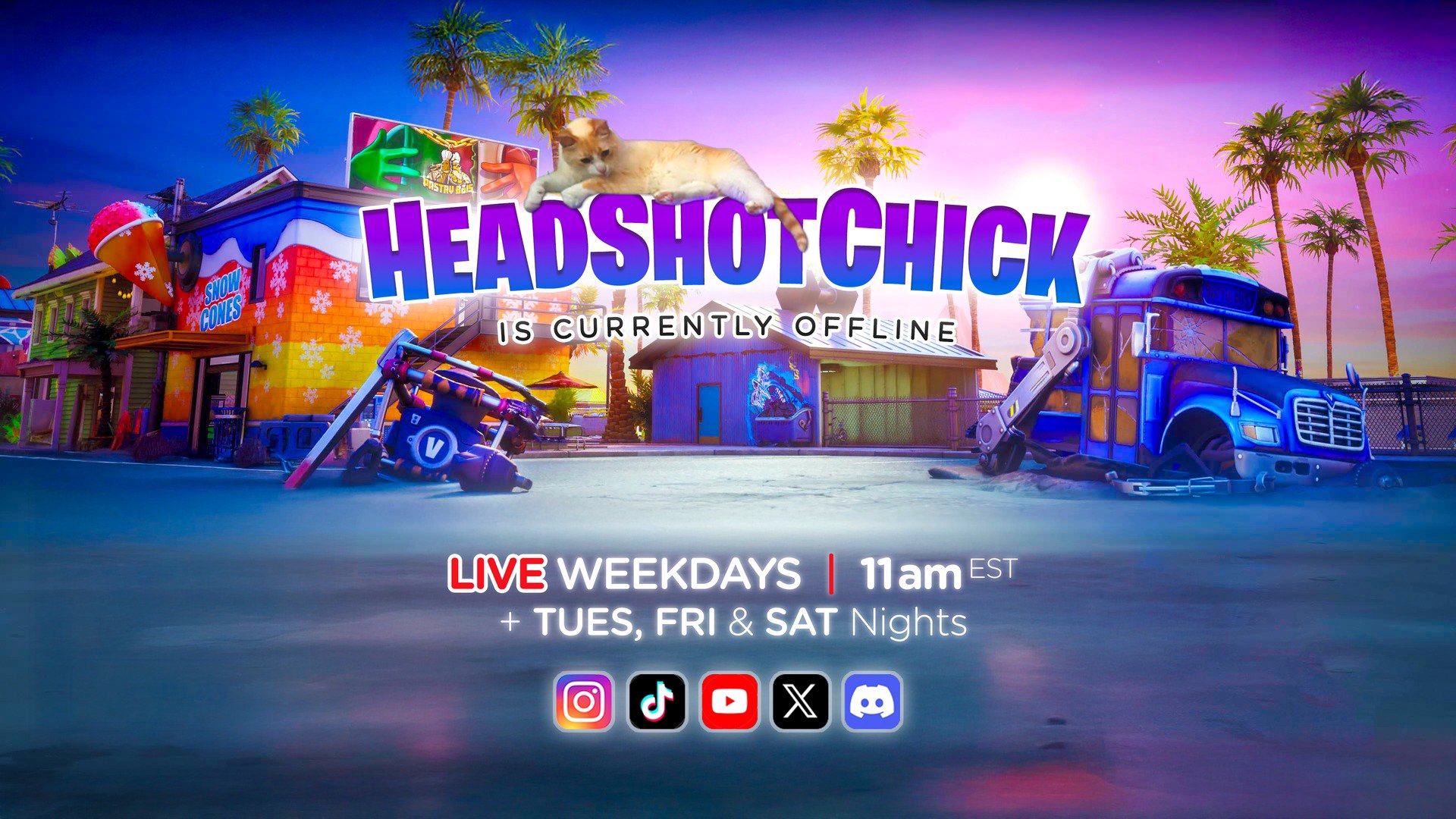 HeadShotChick Offline Background