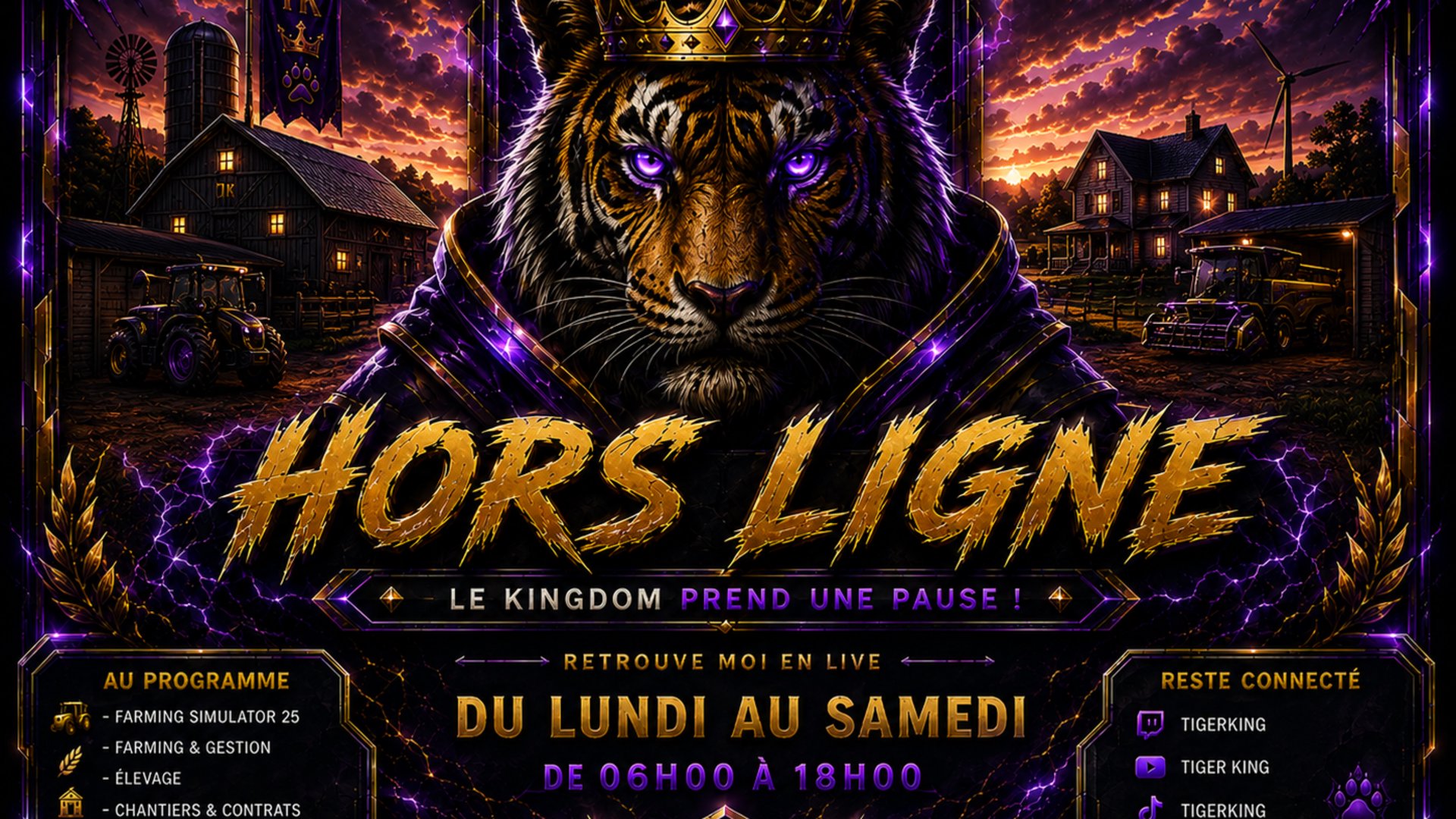 tigerkingfr Offline Background