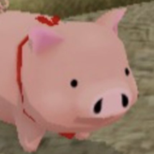 pig_dog