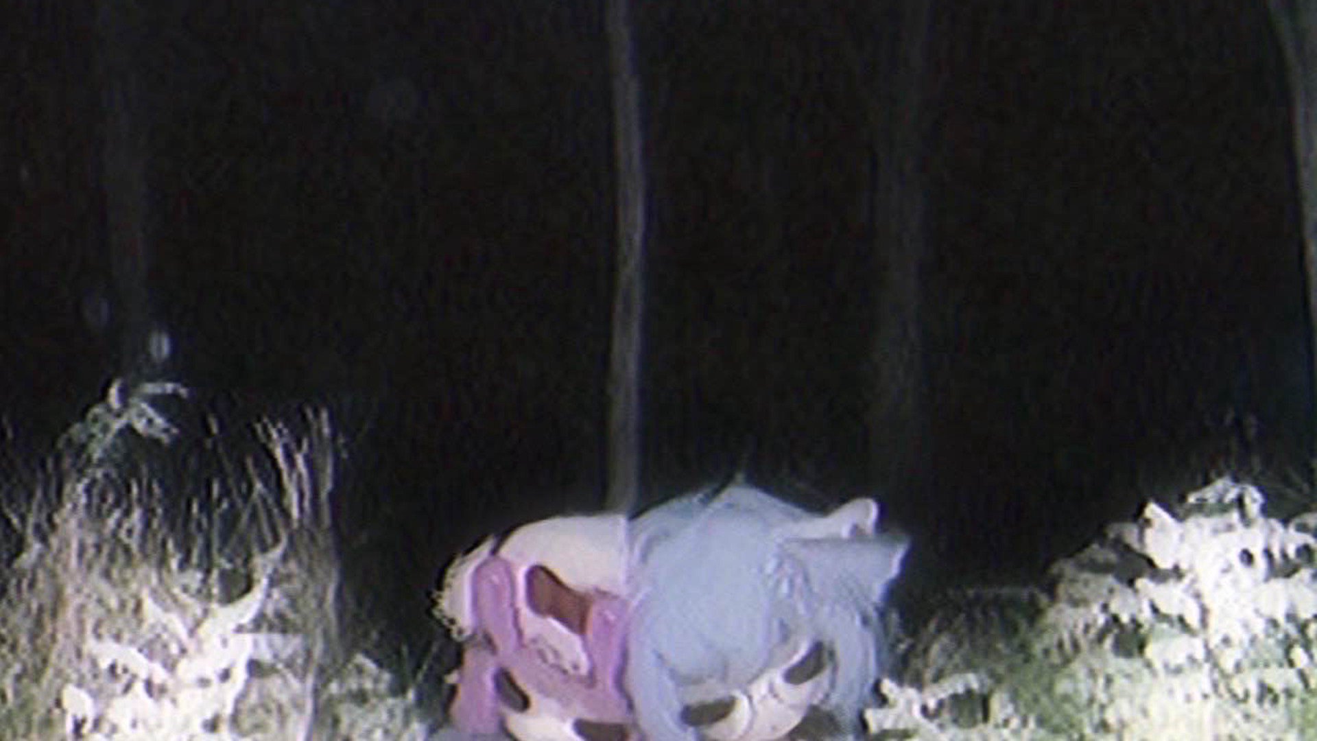 sleepiebug Offline Background