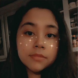 skywanh3da100