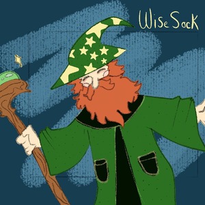 wisesockk