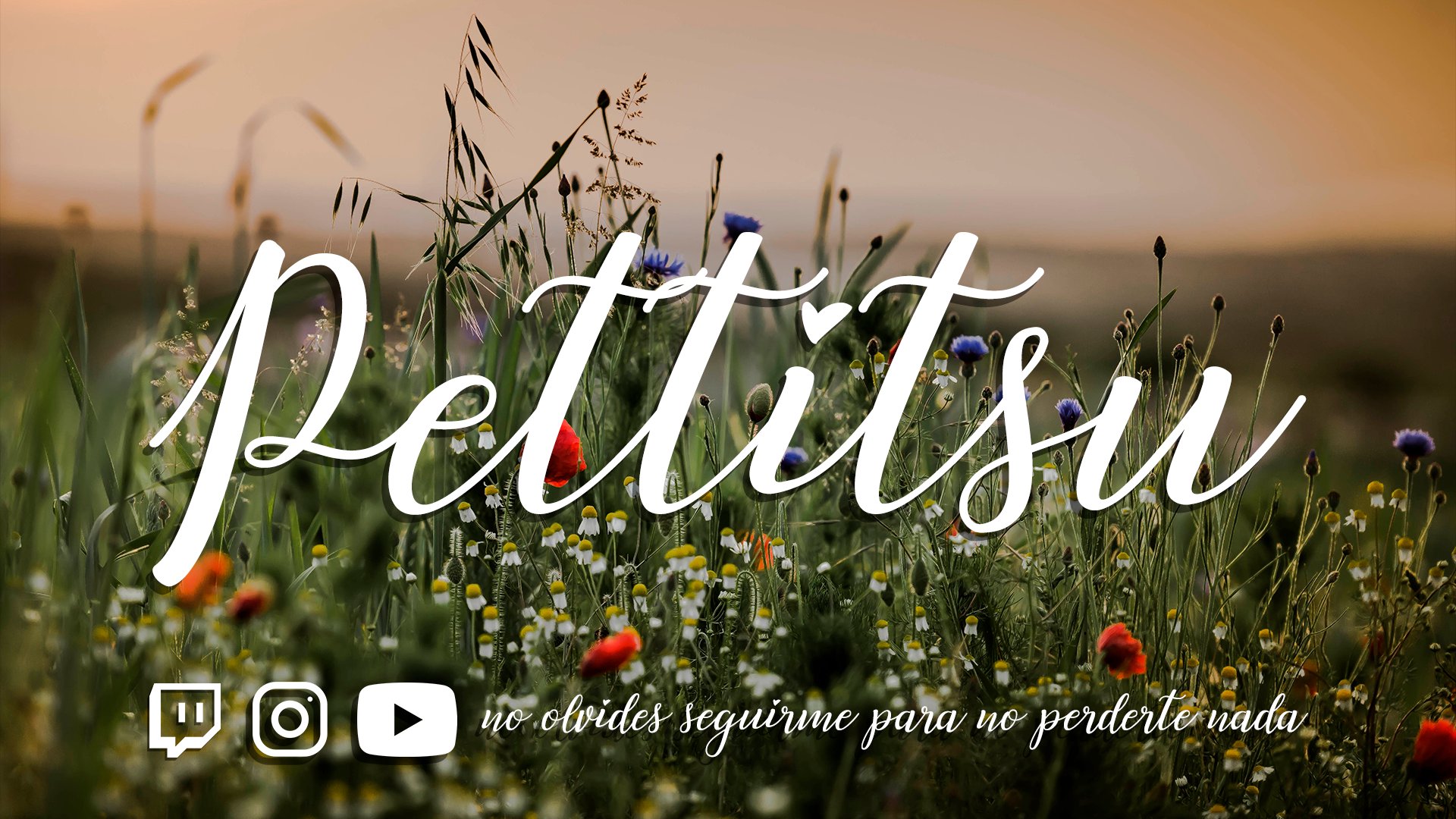Pettitsu Offline Background