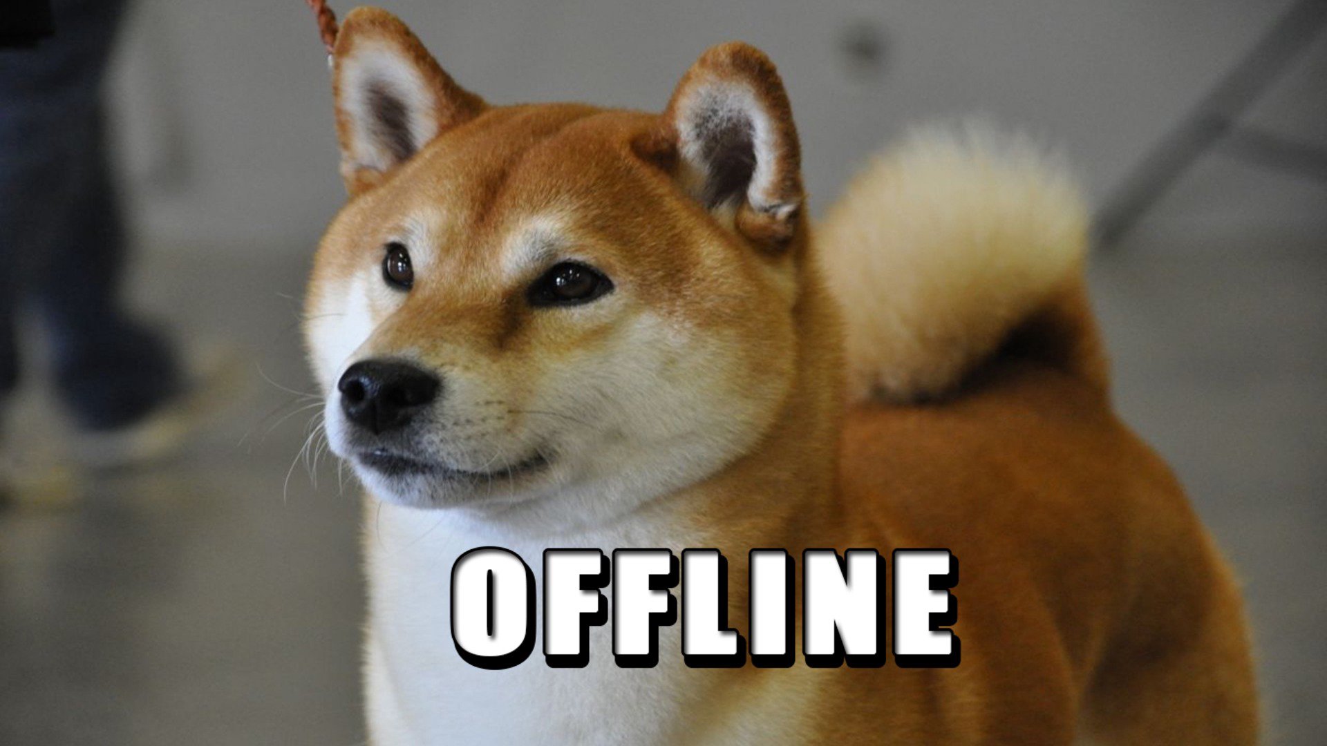 AmendoGordoOficial Offline Background