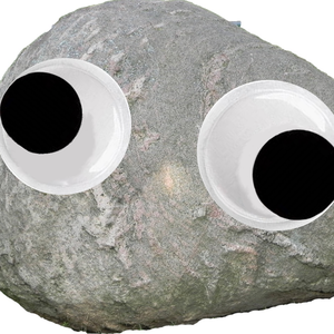 SteveThePetRock