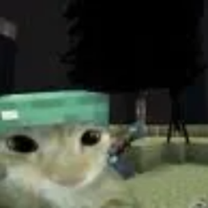 slr_toxic