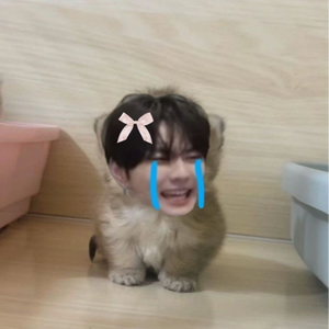 babymeow0504