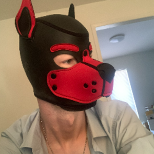 Pup_Dax
