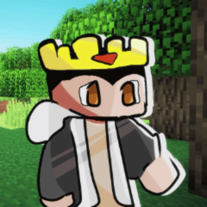 RoinjaX62