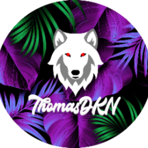 ThomasDKN