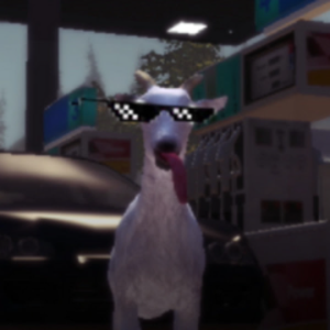 Pelado0o