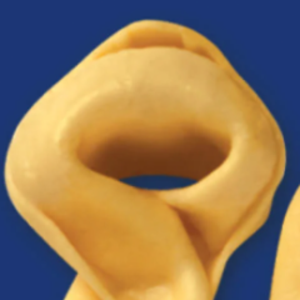 shaun986