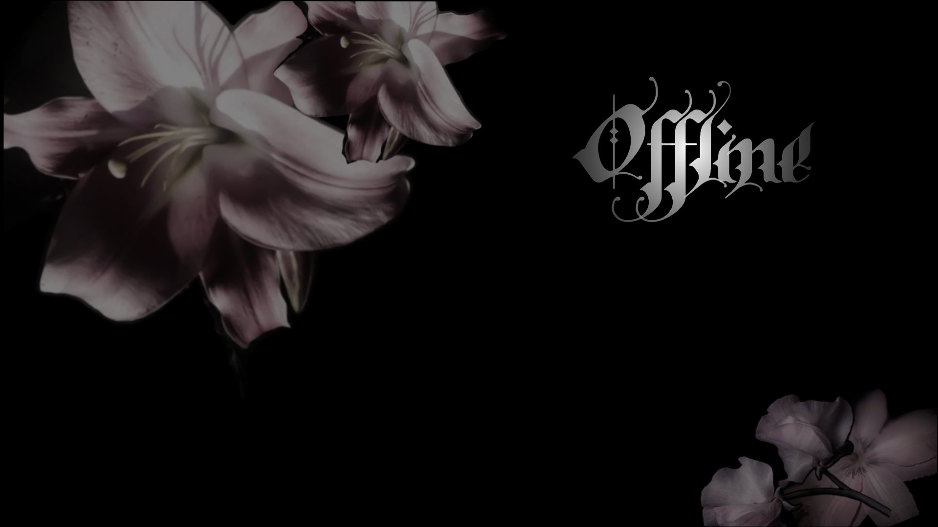 ribka_v_zakone Offline Background