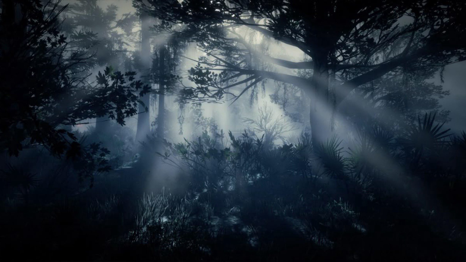 kavkazgamzaet Offline Background