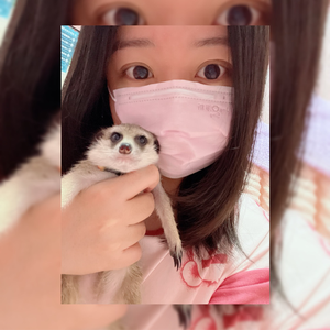 妶妶兒