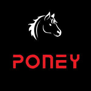 monsieur_poney