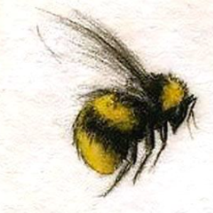 witchiebee