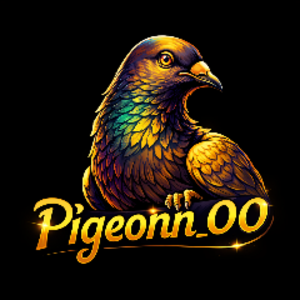 Pigeonn_00