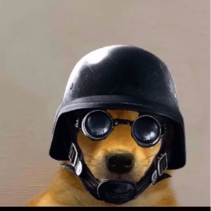 tilledricktg