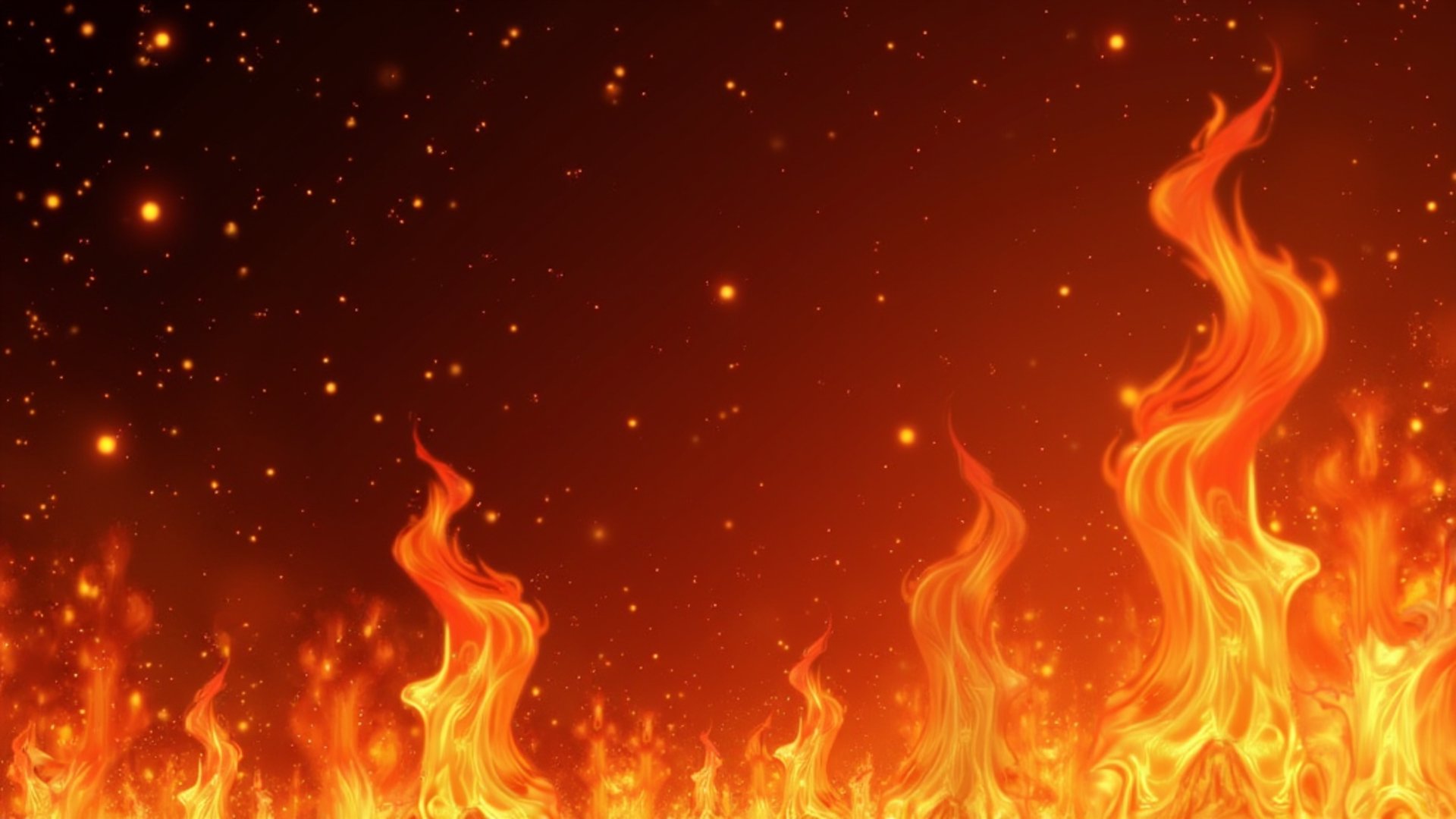 Phoenix__Paladin Offline Background