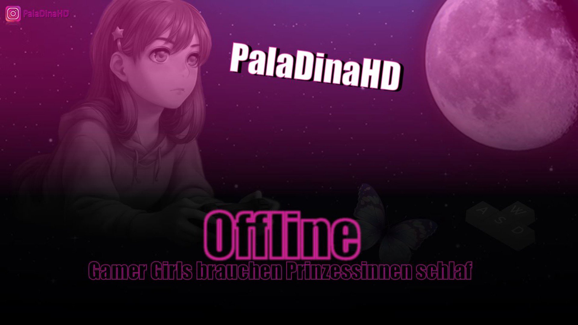 PalaDinaHD Offline Background