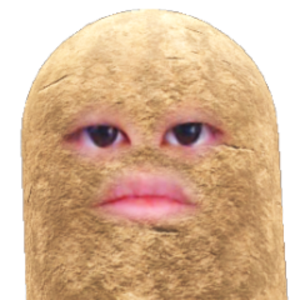 BrotatoJIN