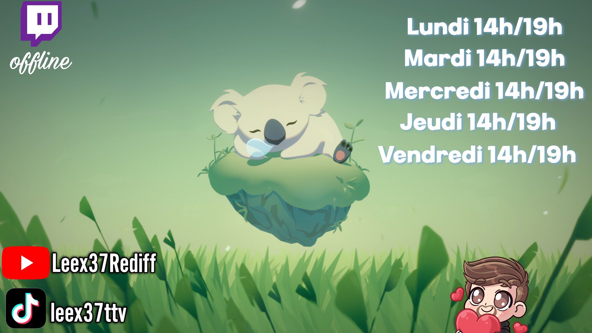 leex37 Offline Background
