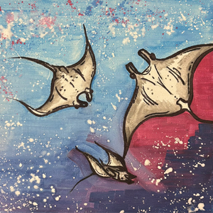 MantaRay2408