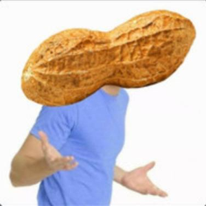 PeanutLM