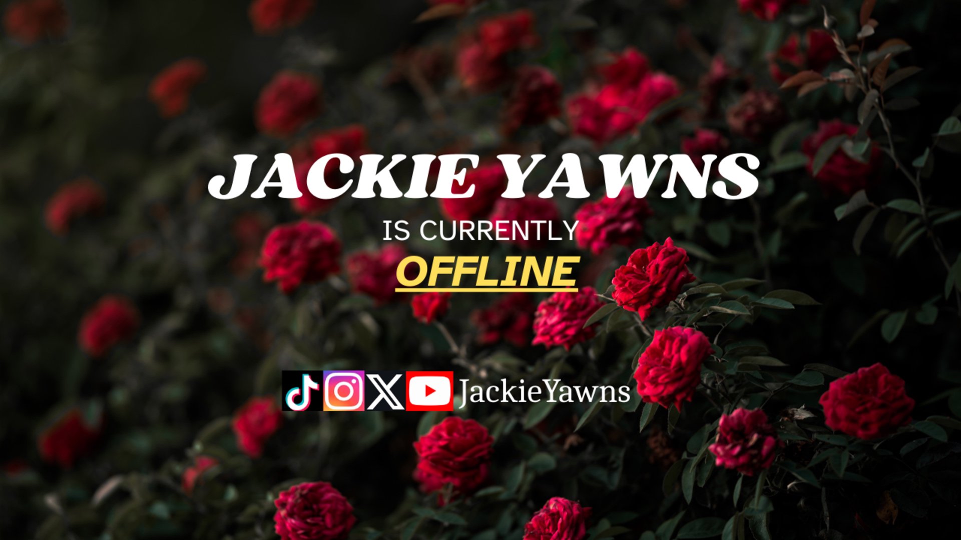 jackieyawns Offline Background