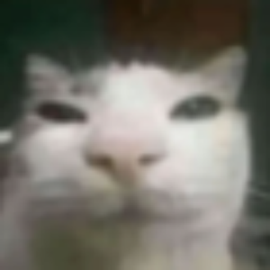 RafaeI021110