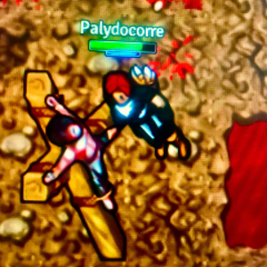 Palydocorre