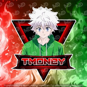 tmoneyplayss