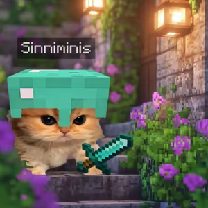 imsd_dominik123