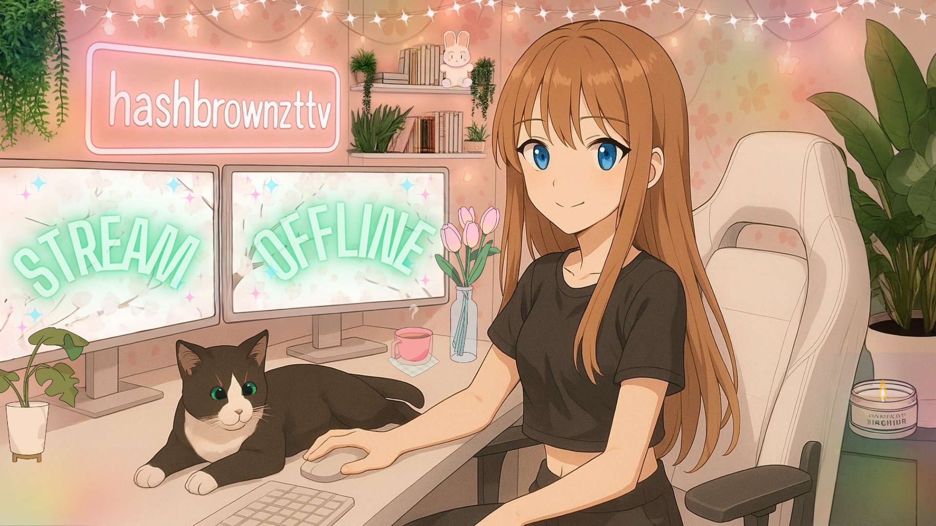 hashbrownzttv Offline Background