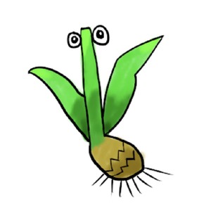 伊理_配信者植物