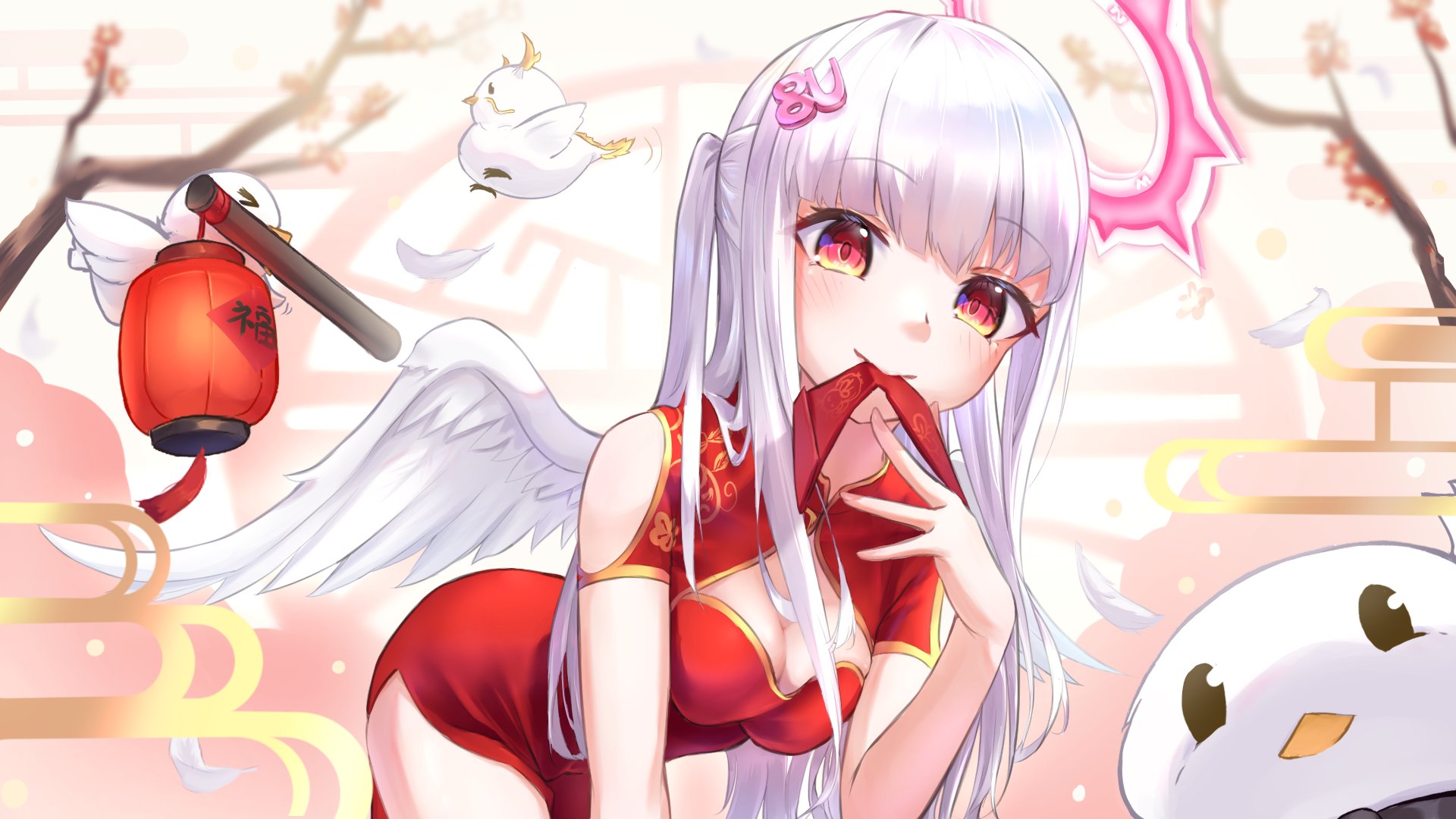 白羽鴿 Offline Background
