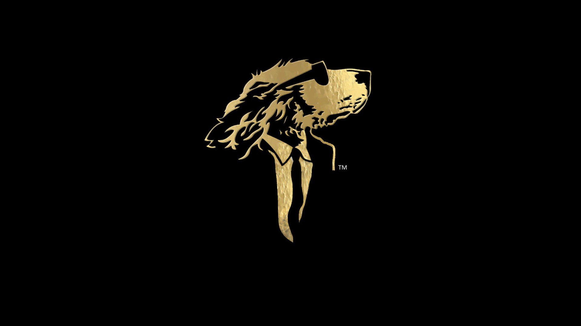 Thizitoo Offline Background