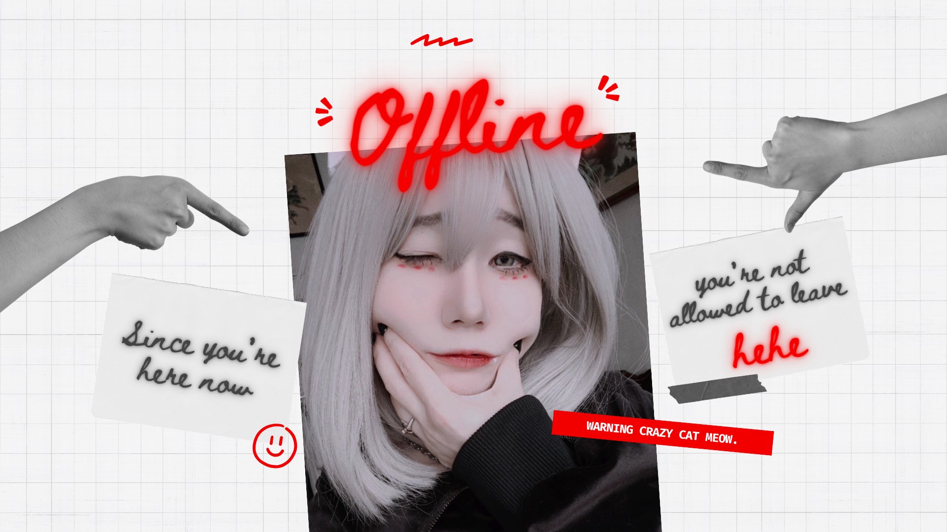 貓樂法 Offline Background