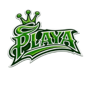 PlayaChannel