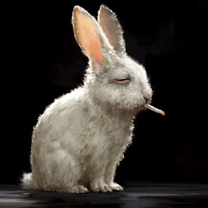 FOXRABBIT Offline Background