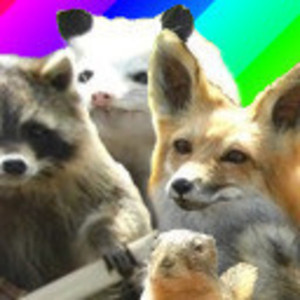 irdumbs