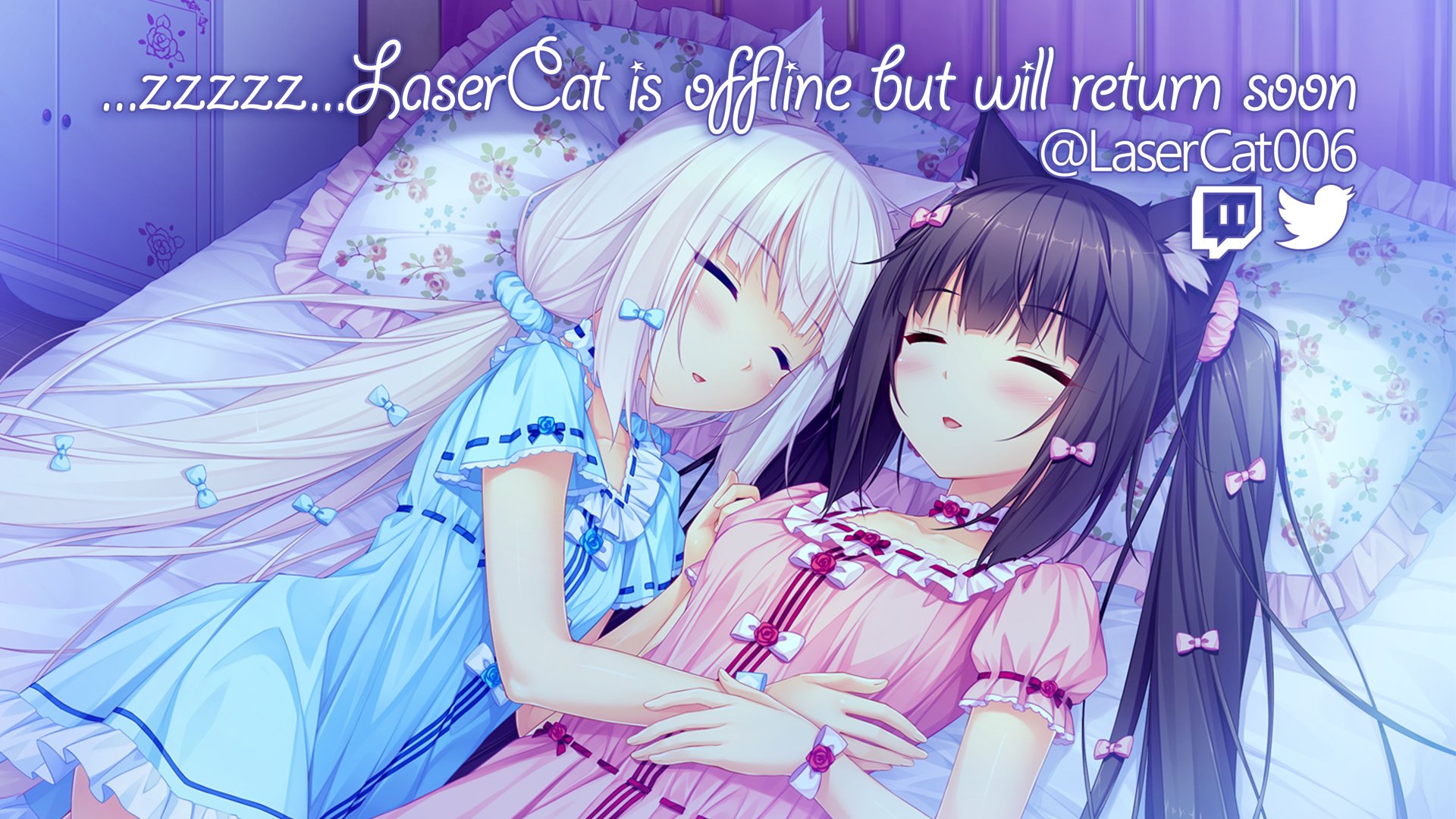 LaserCat006 Offline Background