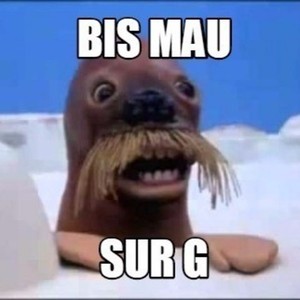 lucalucabug