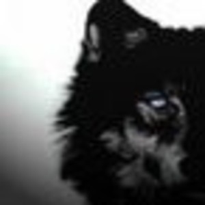 Lunalight_